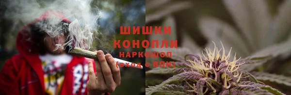 твердый Протвино