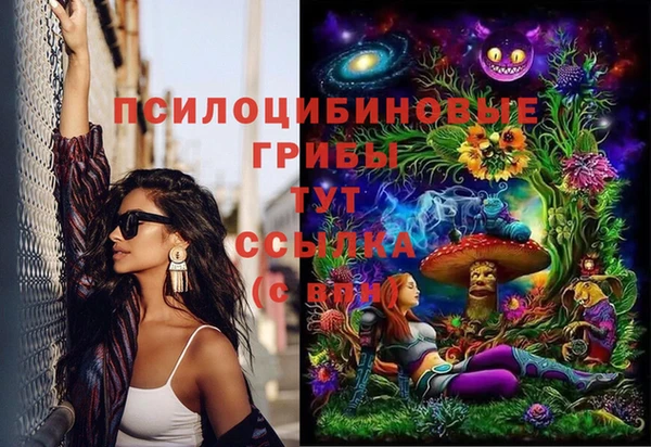 прущие грибы Балабаново