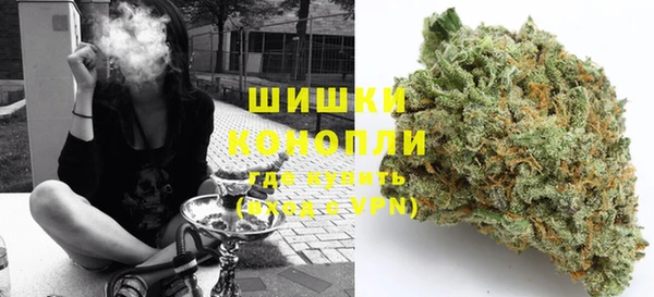 прущие грибы Балабаново