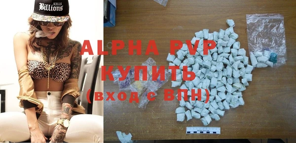 прущие грибы Балабаново