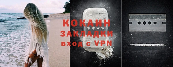 прущие грибы Балабаново