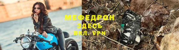 прущие грибы Балабаново