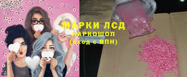 прущие грибы Балабаново