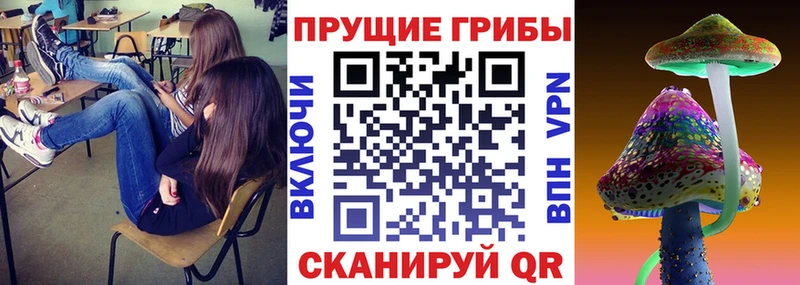наркота  ссылка на мегу как зайти  Псилоцибиновые грибы Psilocybe  Волгореченск 